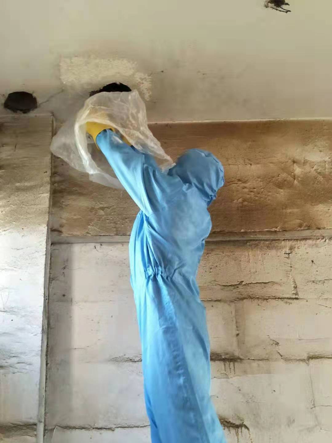 阿坝藏族羌族自治州除虫